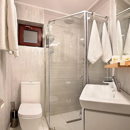 Гостевой дом Pensiunea Casa Creanga 3*